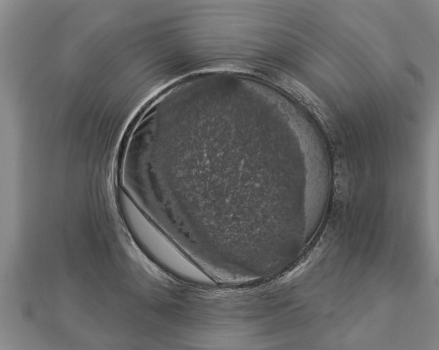 X0000112860892200908281601