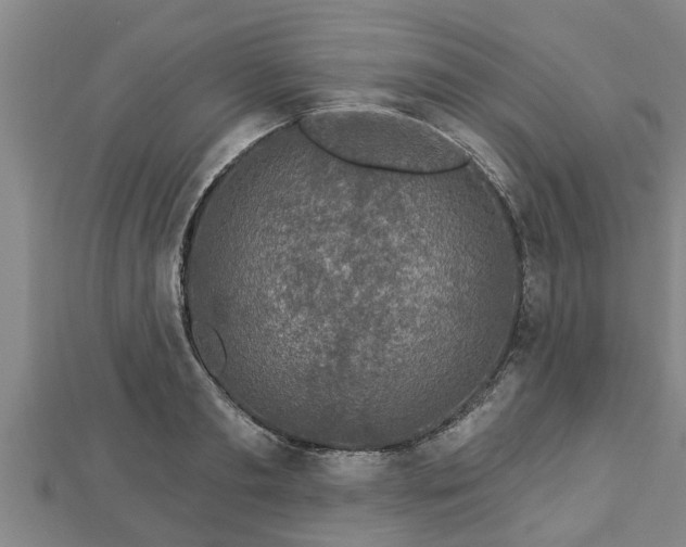 X0000112860893200908281601