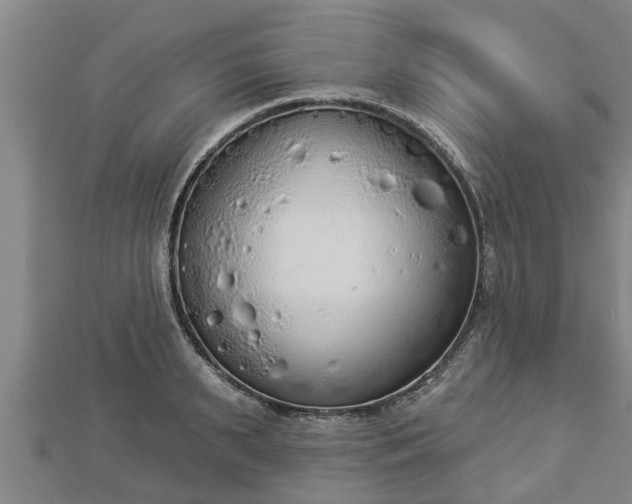 X0000112860895200908281601