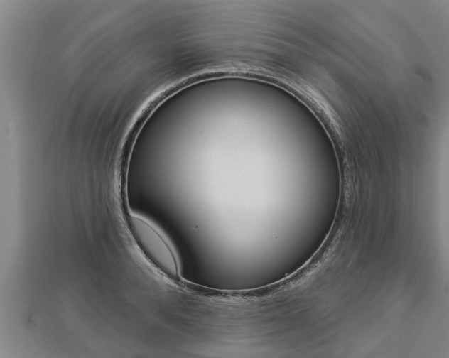 X0000112860896200908281601