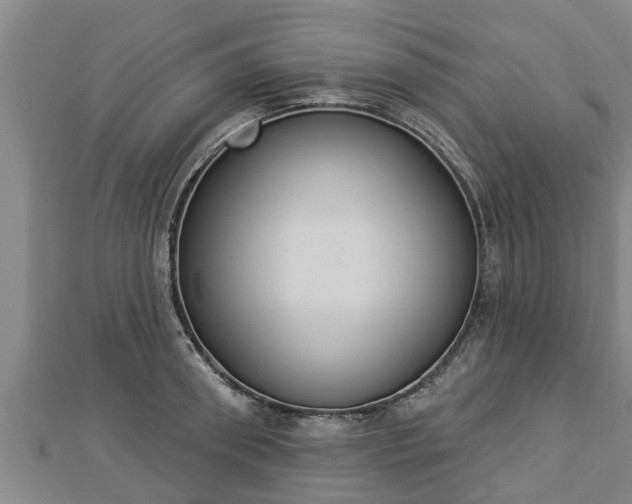X0000112860898200908281601