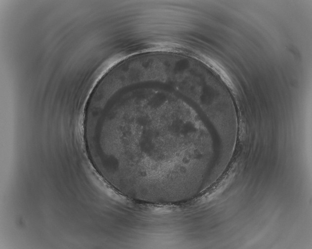X0000112860899200908281601