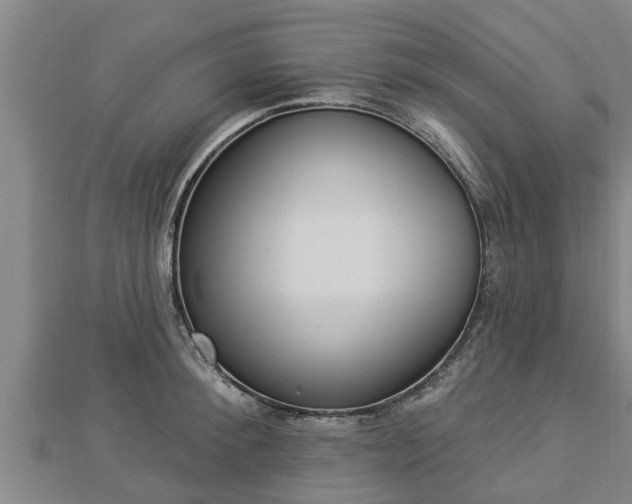 X0000112860900200908281601