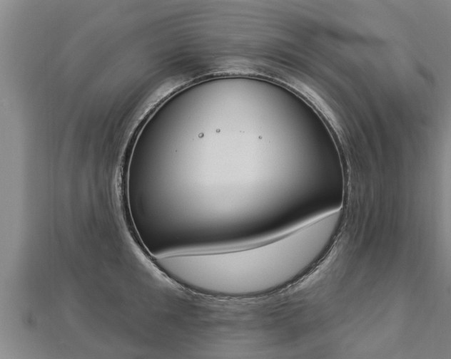 X0000112860901200908281601