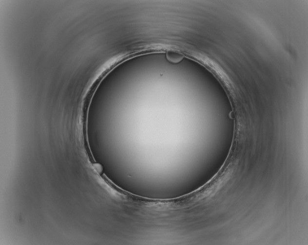X0000112860902200908281601