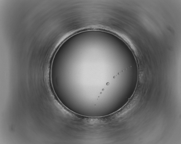X0000112860903200908281601