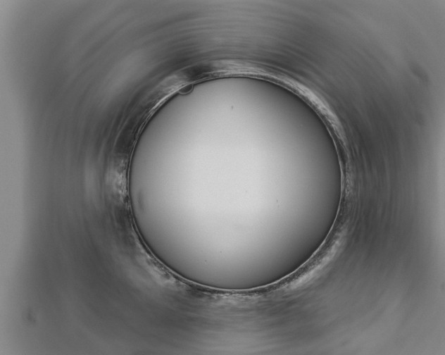 X0000112860905200908281601