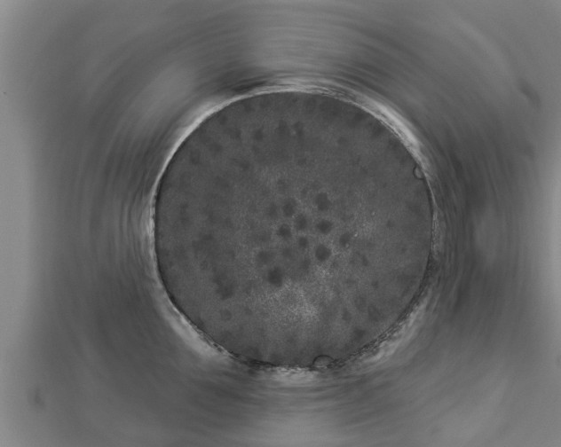 X0000112860907200908281601