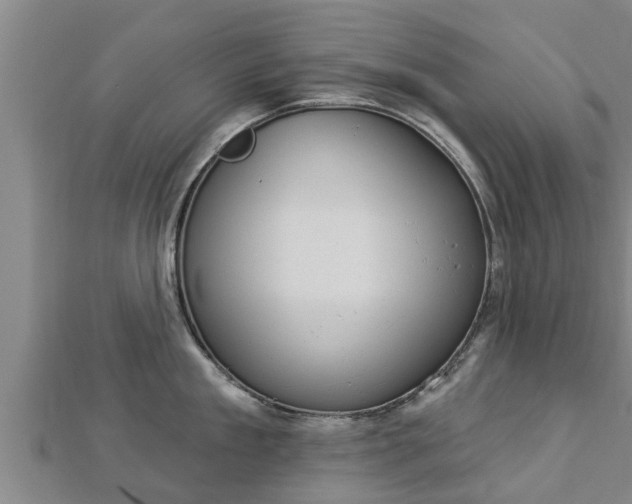 X0000112860909200908281601