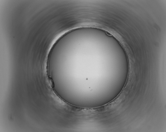 X0000112860912200908281601