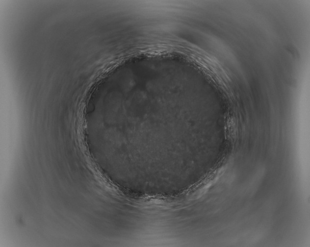 X0000112860913200908281600