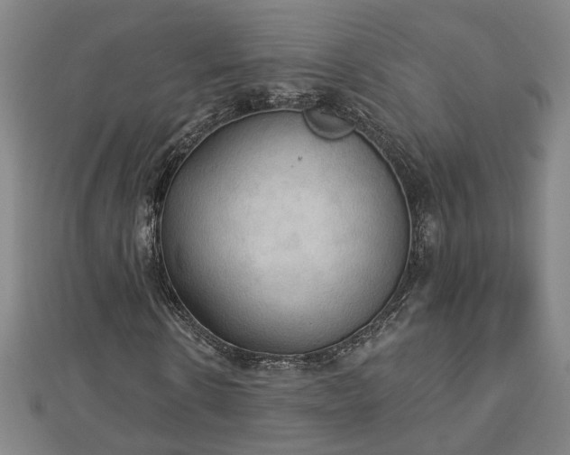 X0000112860914200908281600