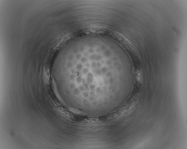 X0000112860915200908281600