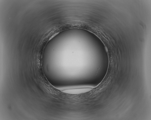 X0000112860916200908281600