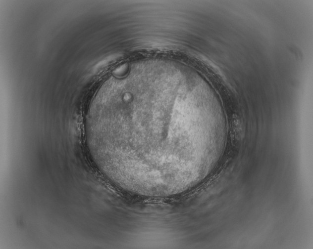 X0000112860918200908281600