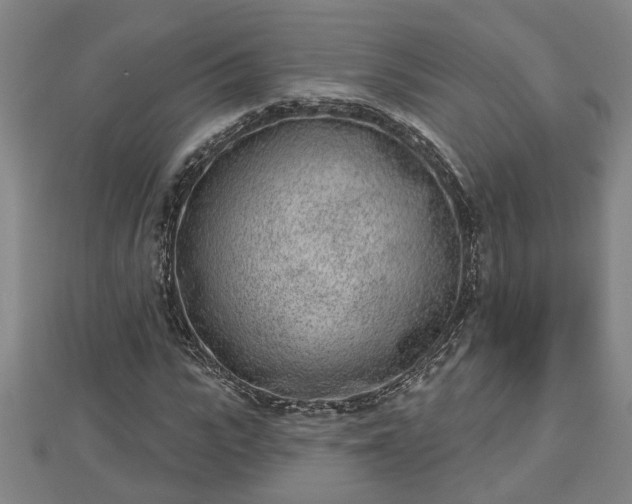 X0000112860919200908281600