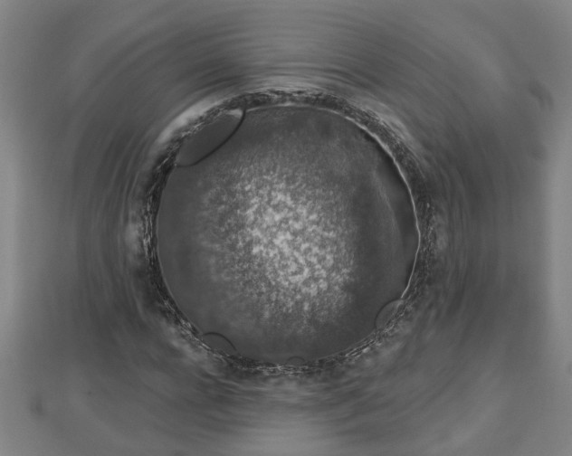 X0000112860920200908281600