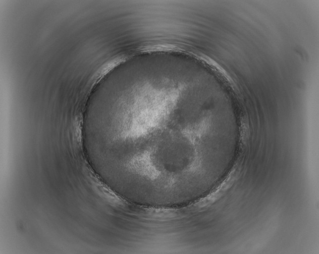 X0000112860921200908281600