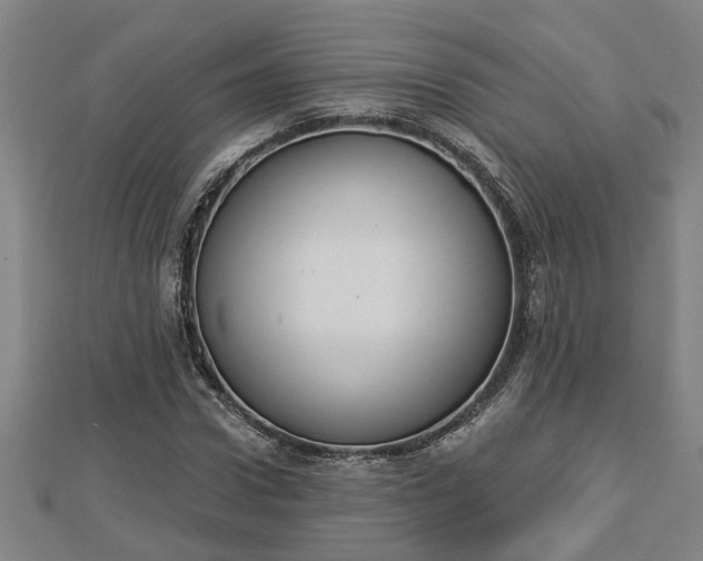 X0000112860922200908281600