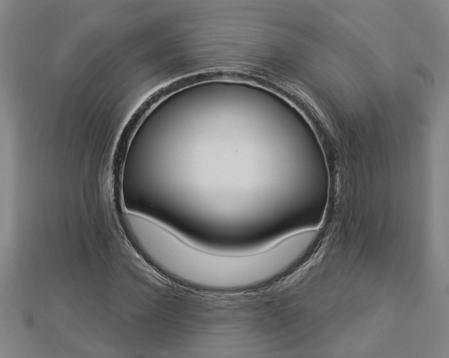 X0000112860924200908281601