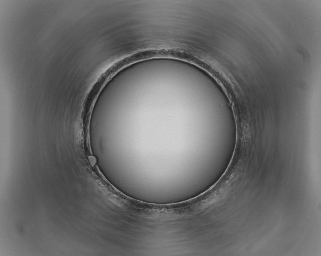 X0000112860927200908281601