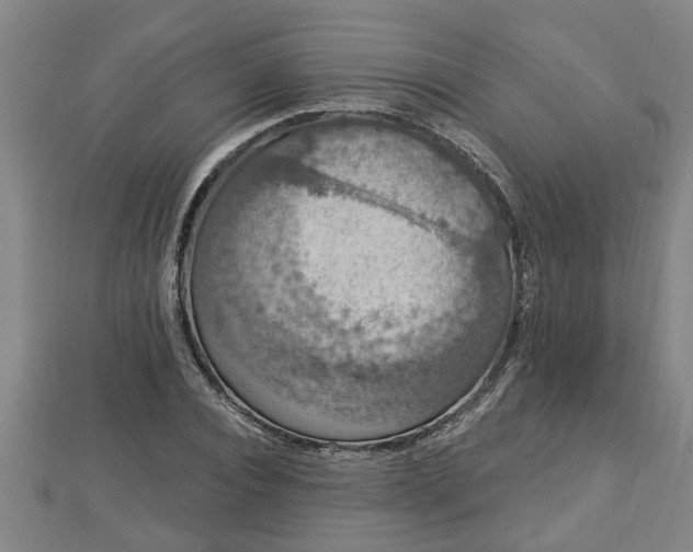 X0000112860928200908281601