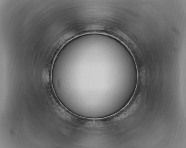 X0000112860929200908281601