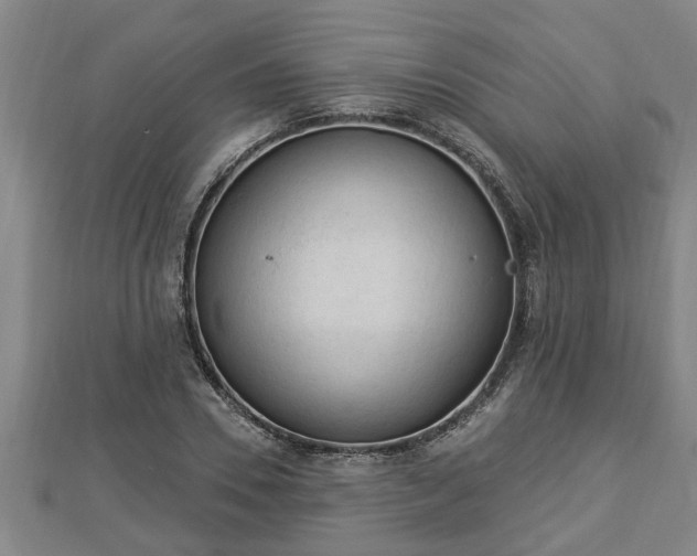 X0000112860930200908281601
