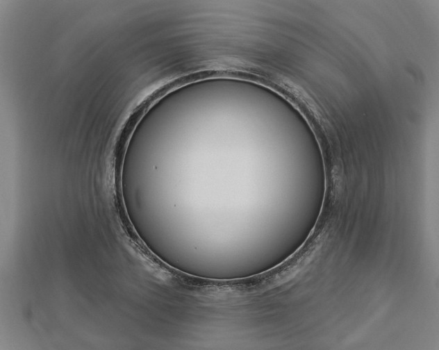 X0000112860931200908281601