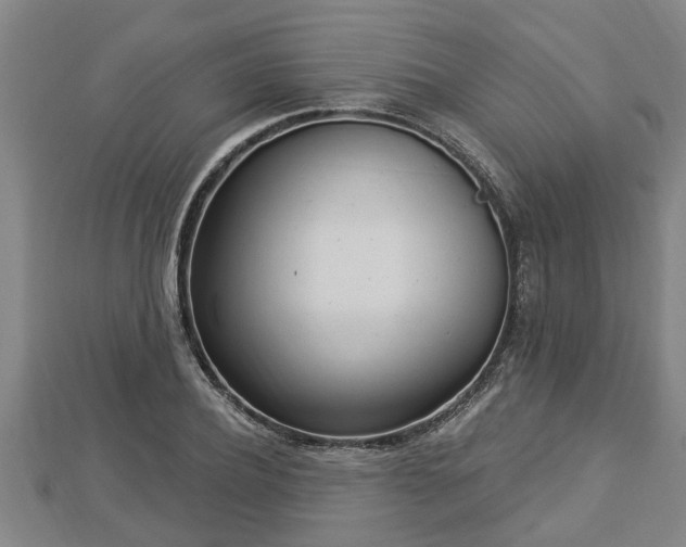 X0000112860932200908281601