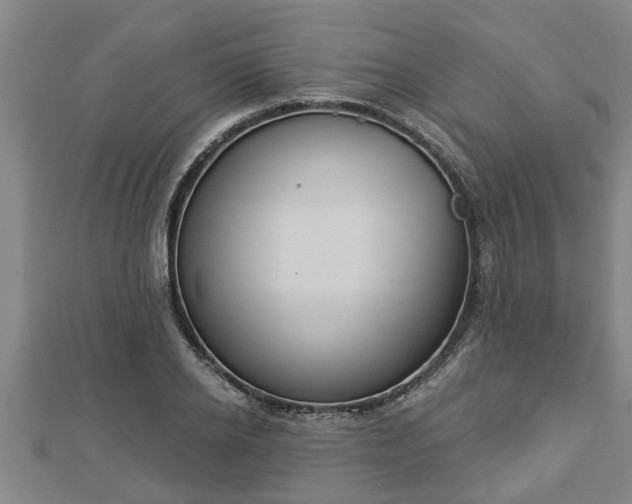 X0000112860934200908281601