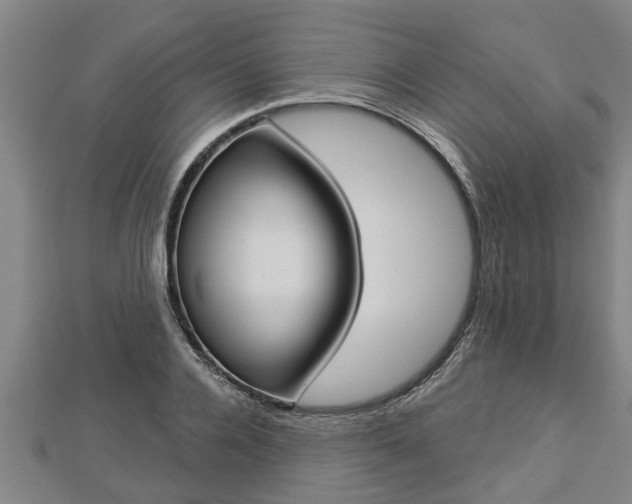 X0000112860936200908281601
