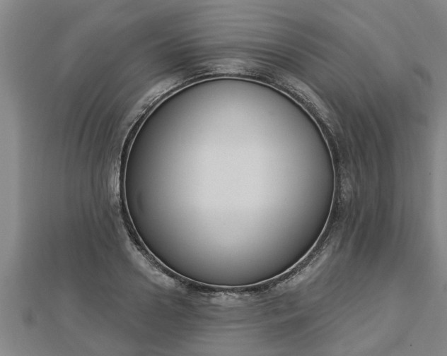 X0000112860938200908281601
