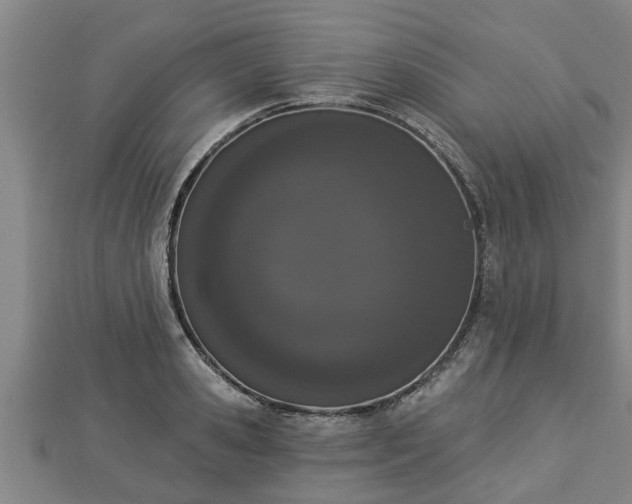 X0000112860941200908281601