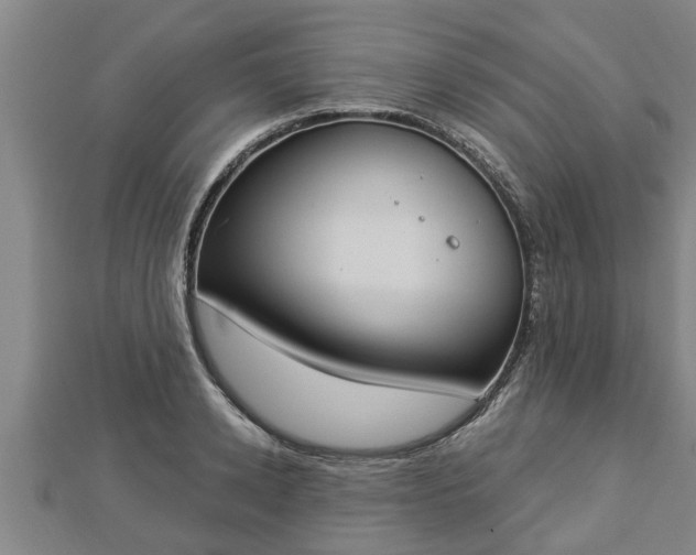 X0000112860942200908281601
