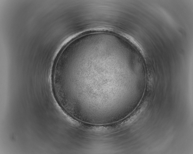 X0000112860943200908281601