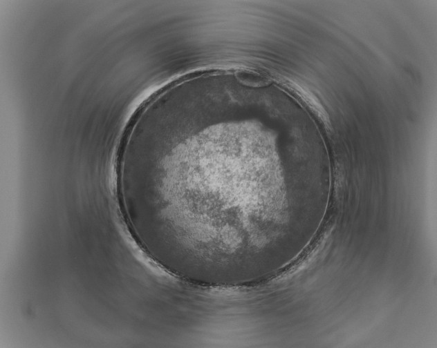 X0000112860944200908281601