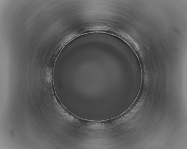 X0000112860945200908281601