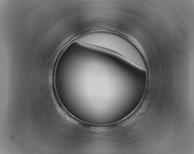 X0000112860946200908281601