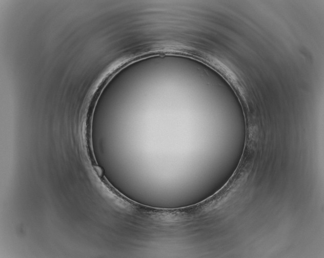 X0000112860947200908281601