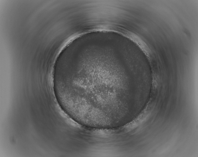 X0000112860950200908281601