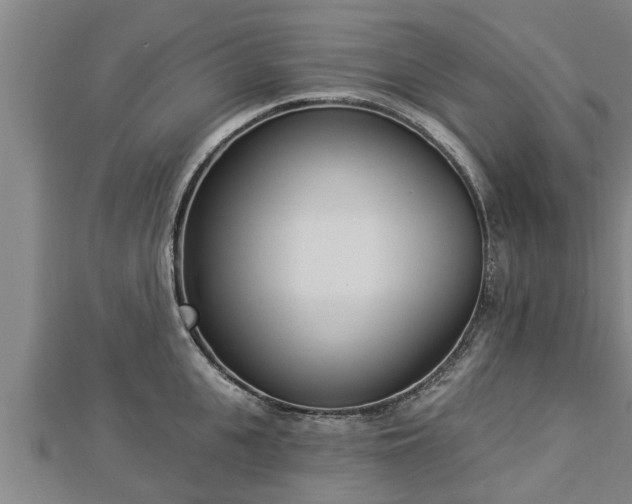 X0000112860951200908281601