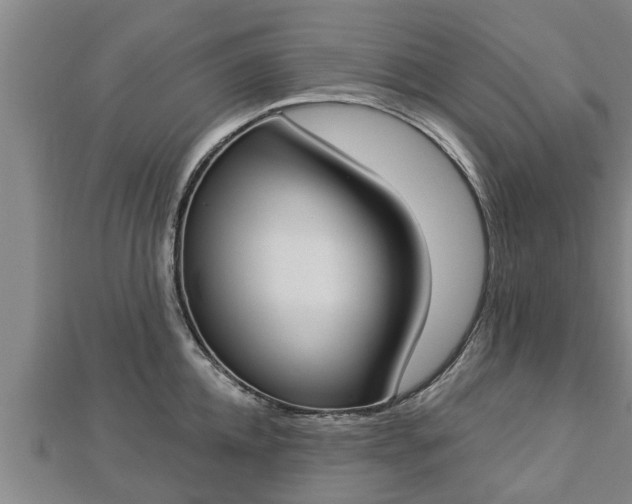 X0000112860952200908281601