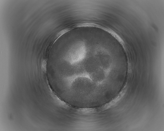 X0000112860953200908281601