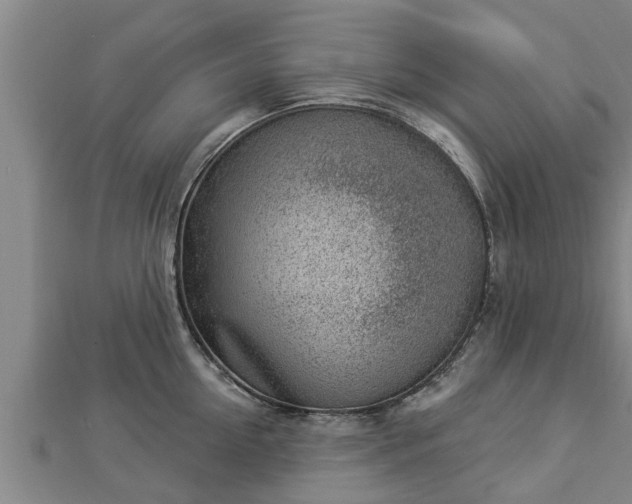 X0000112860954200908281601