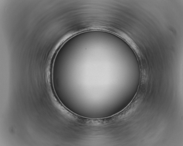 X0000112860955200908281601