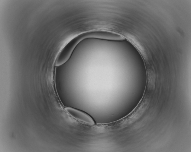 X0000112860956200908281601