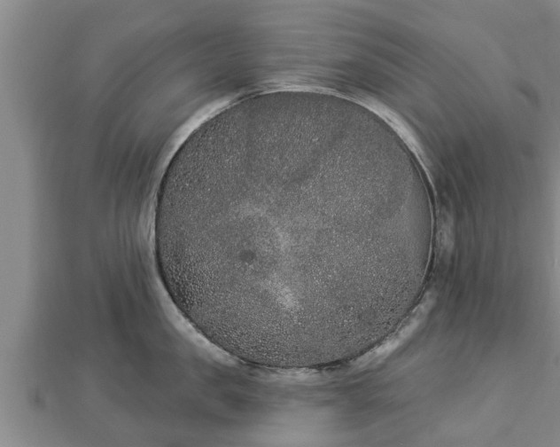 X0000112860957200908281601