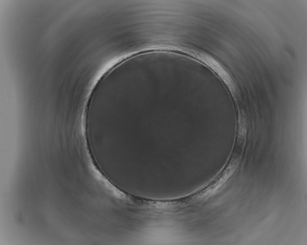 X0000112860958200908281601