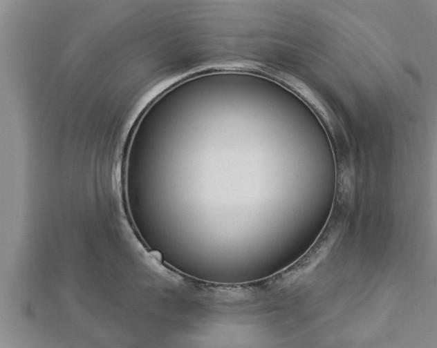 X0000112860959200908281601